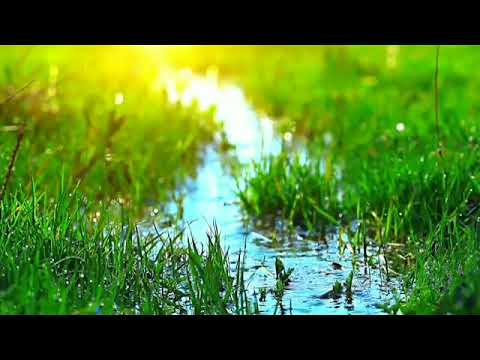آهنگ زیبای صبر ایوب از جواد یساری