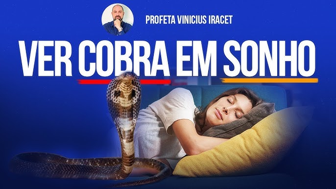 Sonhar com Cobras - Pr Vinicius Iracet 