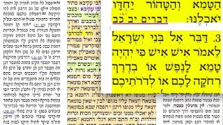 בכורות לג 33 שני ט״ו אייר תשע״ט. מסכת בכורות Daf yomi Bechoros daf 33.