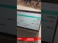 WhatsApp Auto Reply ( Auto Chat Fixed) What'sApp Business Api #whatsappmessaging #whatsappchatbot