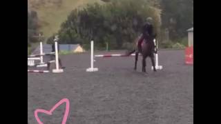 Jacks jumping/flatwork