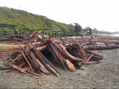 seacliff beach storm state damage
