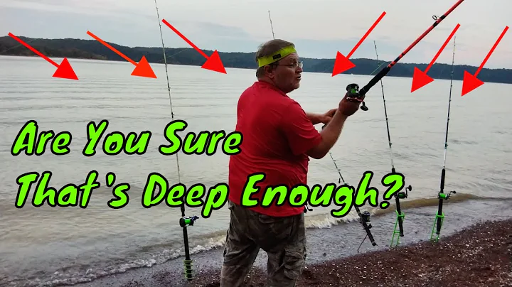 What Happens When You Throw Catfish Baits in 2 Feet of Water