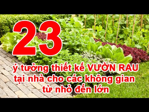 23 ý tưởng thiết kế VƯỜN RAU tại nhà cho các không gian từ nhỏ đến ...