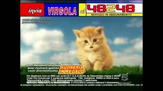 Spot Tv Suoneria Gattino Vira - Pubblicità Mediaset 2008