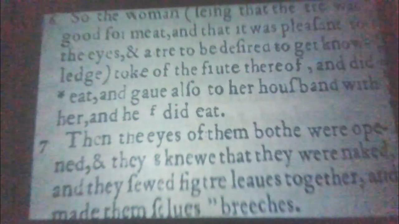 Genesis Chapter 3 Verse 6 7 YouTube genesis-chapter-3-verse-6-7-youtube