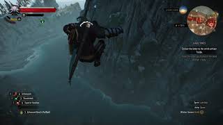 Celebrity Fall Damage in a Nutshell | Witcher 3 Profile