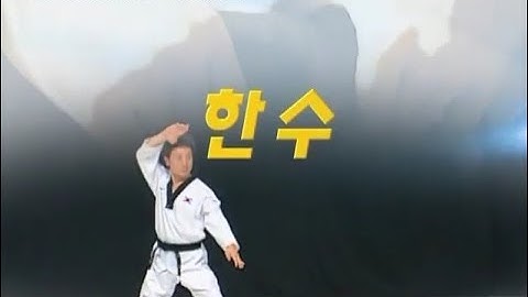 Hansu - 8th Dan - WT Poomsae