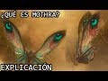 ¿Qué es Mothra? EXPLICACIÓN | Mothra (La Reina de los Monstruos) del Monsterverse EXPLICADA