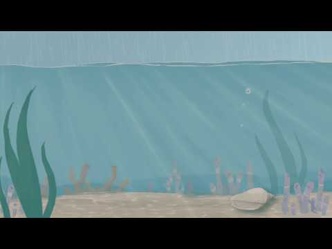 RITORNELLO [College Project]