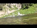 Fly Fishing the Warm River in Idaho with my daughter, Megan. Euro-Nymphing