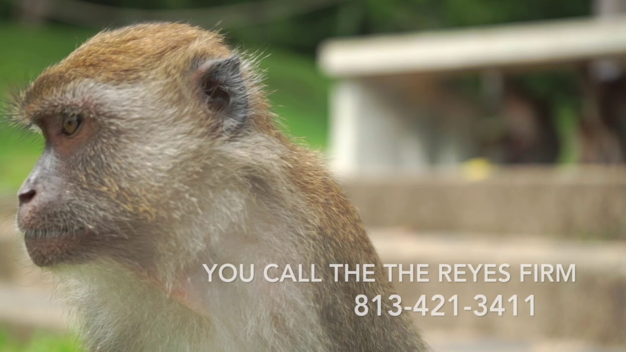 Florida Accident Help: Who to Call First After an Injury | The Reyes Firm–Your Trusted Injury Lawyer