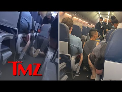New Video of United Airlines Passenger Who Died Receiving CPR Mid-Flight, COVID Scare | TMZ