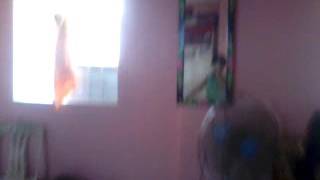 Magic vine of josh Raphael 50+(50)