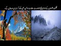 Top 5 Beautiful Places Gilgit Baltistan || Part 4 || Urdu/Hindi