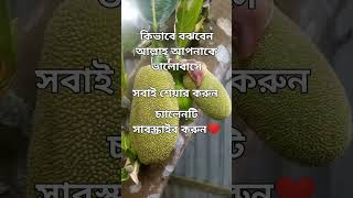 কিভাবে বুঝবেন আল্লাহ আপনাকে ভালোবাসে সুস্থ আজহারি কবরের গজল আল্লাহর ঈদ জাহান্নাম wazifa ban