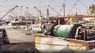 Land and Sea: Winter fishing in Port aux Basques