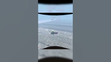 BUG PARTY! - Lethal Company #lethalcompanygame