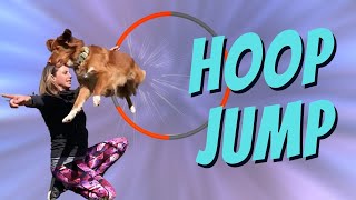 Teach You Dog To Jump Through A Hoop by Mix Match Dog Trick Tutorials 71 views 3 years ago 2 minutes, 8 seconds