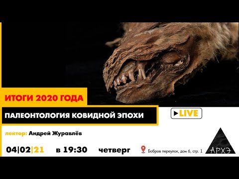 Андрей Журавлёв| Палеонтология