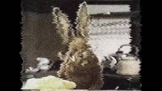 Hartleys Friend Creepypasta Reading