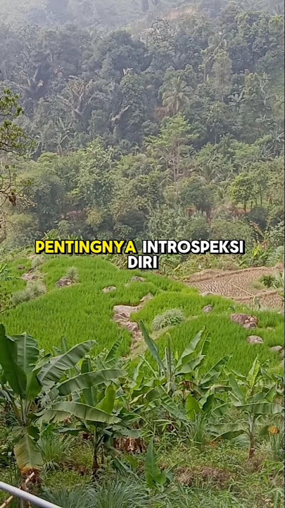 pentingnya introspeksi diri #katanasehat#katabijak#motivasidiri#motivasihidup