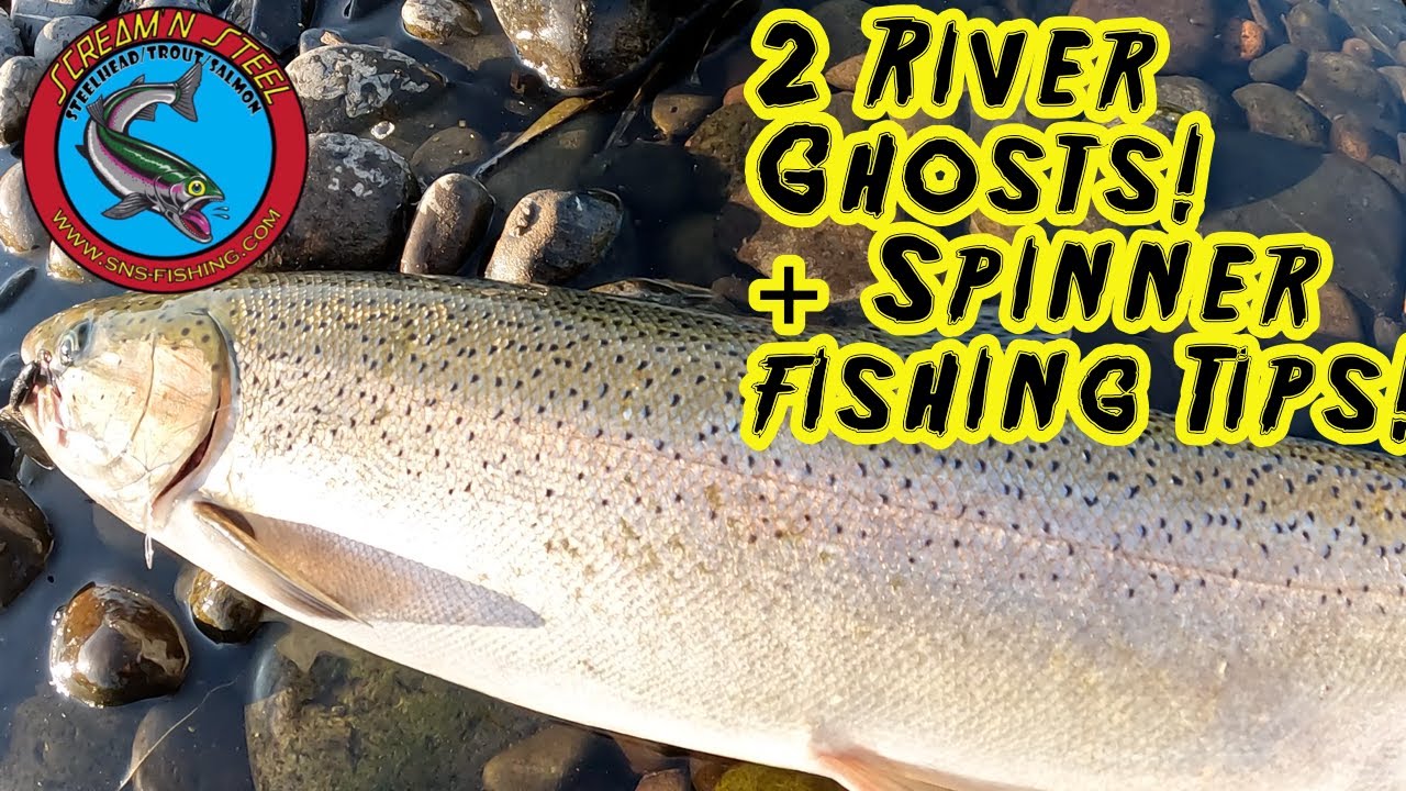Steelhead Trout on Spinners : Techniques for Success!