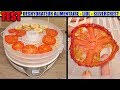 deshydrateur silvercrest lidl alimentaire test fruits et légumes Food Dehydrator Dörrautomat