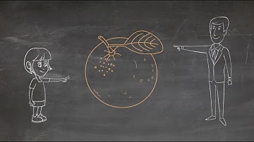 Integrative vs. Distributive Negotiation - The Orange Juice Story (Doodle Video)