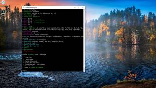 DMPOWER BUILD 6 running on windows10/cygwin