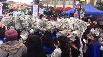 Karnevalet Shkodër 2014