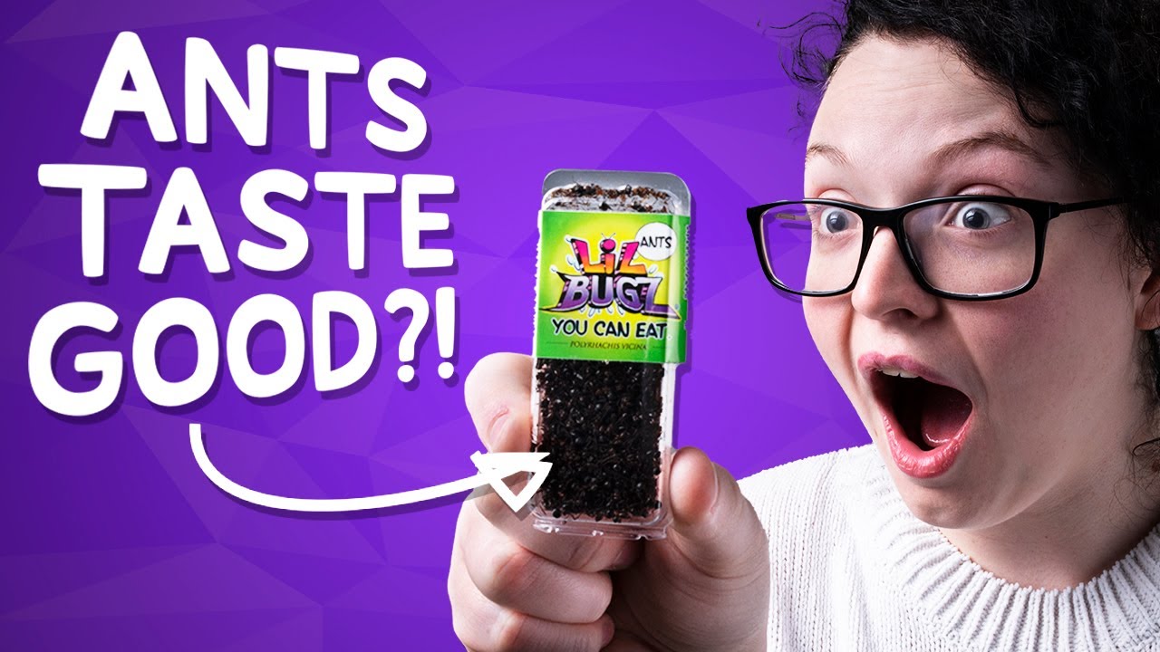 Edible Ants Product Video - Found From Their Website
