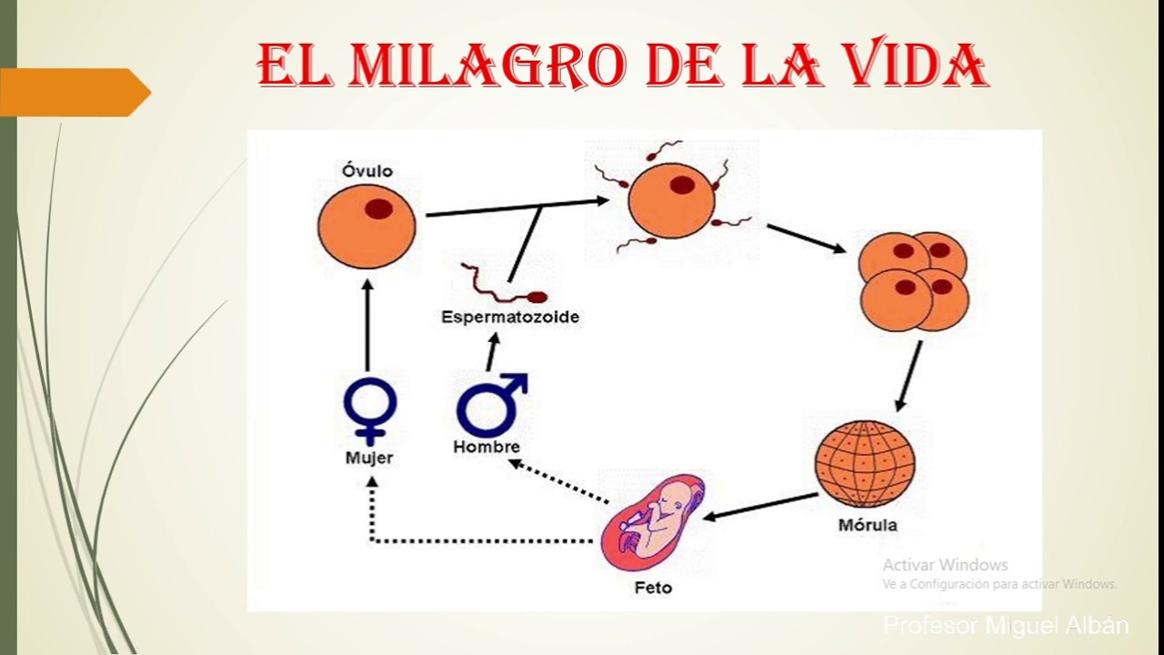 CIENCIAS NATURALES LOS SERES VIVOS YouTube
