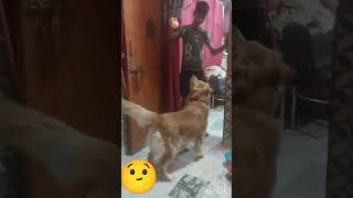 🥹🥹Hamari adhuri Prem kahani 🥺🥺.like and subscribe channel.##youtubeshorts ##