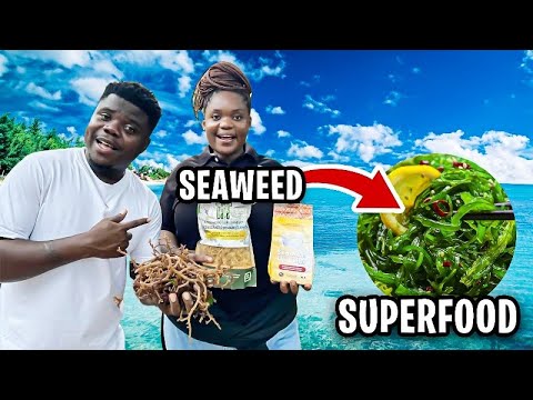 How Three Young Ladies Started A Lucrative Business Out Of Sea Weeds In Tanzania 