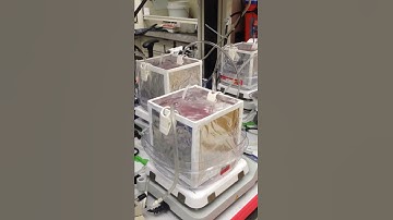 Sequencing Batch Reactors