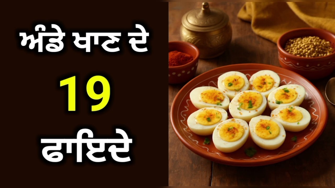 ਅੰਡੇ ਖਾਣ ਦੇ 19 ਫਾਇਦੇ। 19 health benefits of eating eggs.