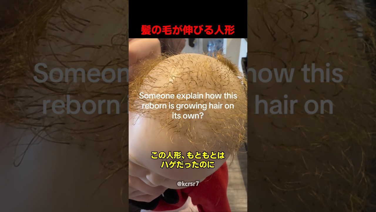 髪の毛が伸びる人形