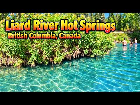 Liard River Hot Springs | Going to The Hot Springs | British Columbia, Canada | RVing