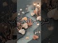 سُورَةُ الْأَحْزَابِ Quran Urdu Translation ❣️#love #quran #quranrecitation #quranforeever #shorts