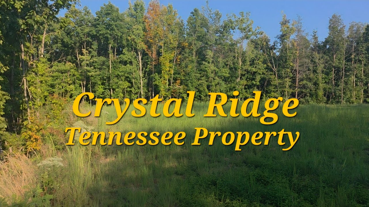 The Tennessee Property, better known as Crystal Ridge, is coming along nicely. 
