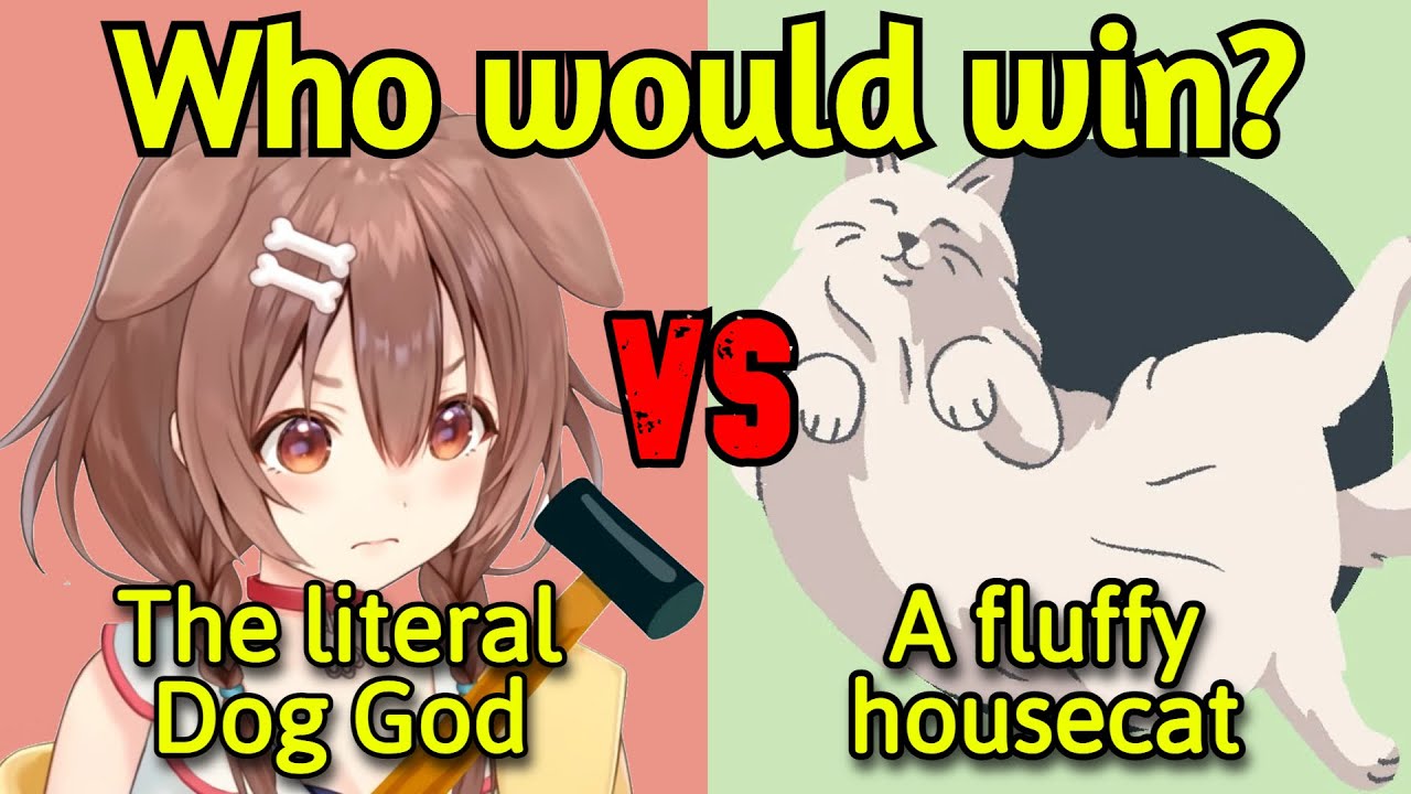 Korone Gets More and More Salty Everytime the Cat Appears in 