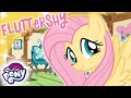 My Little Pony em português 🦄 Fluttershy | 1 hora COMPILAÇÃO | A Amizade é Mágica MLP