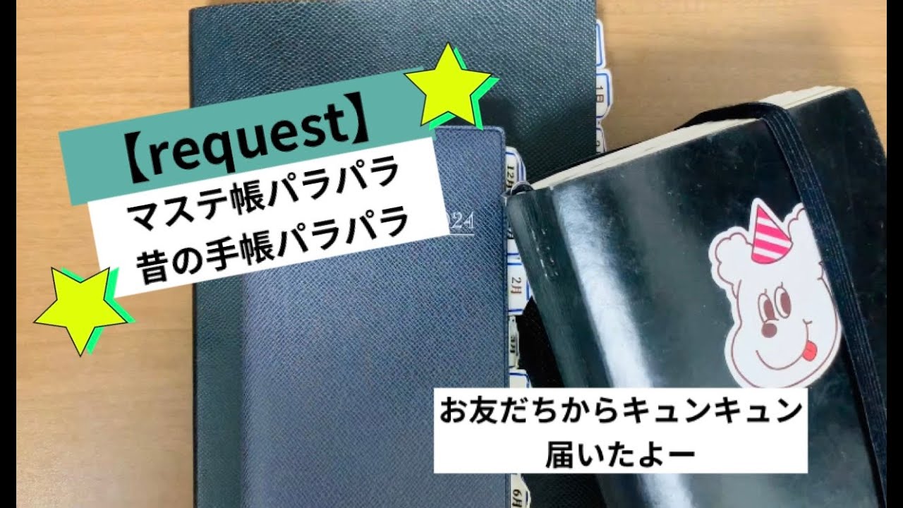 久々のマステ帳パラパラ！懐かしの手帳パラパラ📔