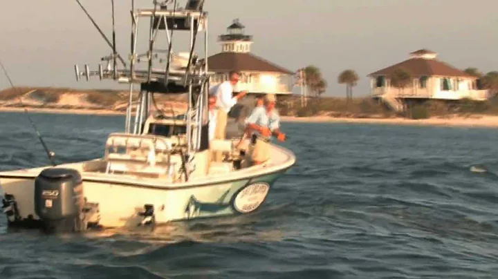 Huge Tarpon Eaten by Monster Sharks