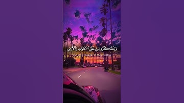 🔥تلاوة عبد الرحمن مسعد🌿 #راحة_نفسية #اكسبلور  #قرآن