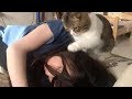 朝ごはんをねだる猫