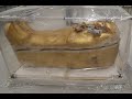 الكشف عن تابوت توت عنخ آمون في مصر 