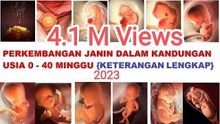 Perkembangan Janin Dalam Kandungan Usia 0-40 Minggu | Lengkap Terbaru 2023 |