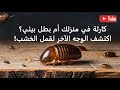 كارثة في منزلك أم بطل بيئي اكتشف الوجه الآخر لقمل الخشب قمل الخشب وثائقي